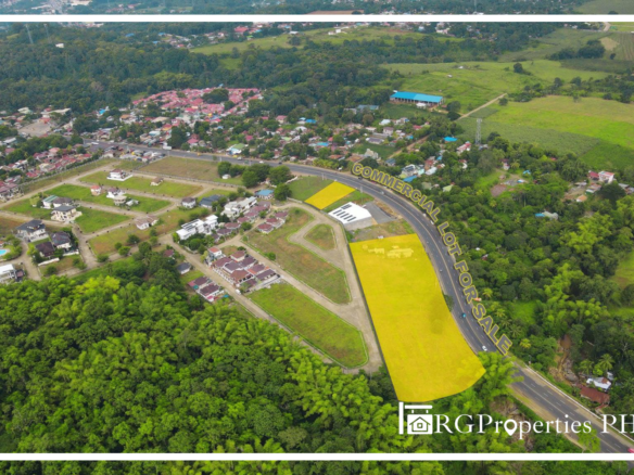RGPropertiesPH-ValenciaEstatesCommercialLot